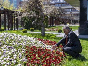 Büyükşehirden Kayseri’de Yeşil Alan İçin 3 Yılda 66 Milyon Tl’lik Harcama