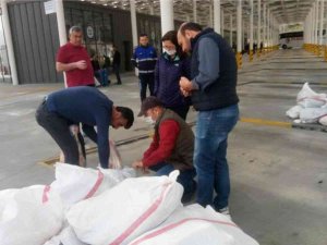 Kaçak Etlerin Sahibine Ve Otobüse Ceza