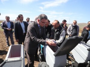 Tokat’ta, 700 Çiftçiye Yüzde 50 Hibeli Ayçiçeği Tohumu Dağıtıldı