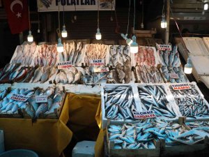 Çiftlik Balığı Fiyatları Deniz Balıklarını Geçti