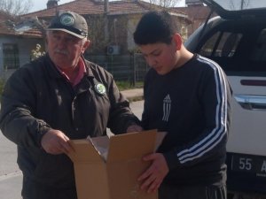 Yaralı Halde Bulduğu Sincabı Görevlilere Teslim Etti