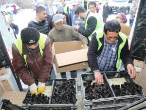Ereğli Belediyesinden Üretime Destek