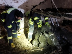 Foseptik Çukuruna Düşen Büyükbaş Hayvanı İtfaiye Kurtardı