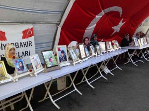 Acılı Anneden Dağdaki Çocuklara ‘Teslim Ol’ Çağrısı
