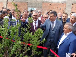 Çorum’da Çiftçilere Ücretsiz Sahlep Ve Badem Fidanı Dağıtıldı