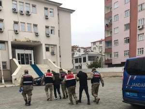 Iğdır’da Koyun Hırsızlığı: 3 Şüpheli Tutuklandı