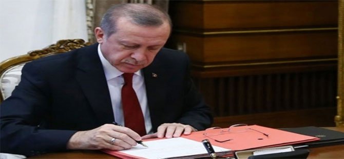 Rize ve Trabzon Dahil 14 İlde Bazı Alanlar Orman Sınırları Dışına Çıkarıldı