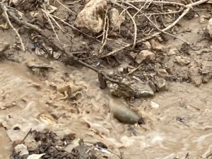 Çukurca’da Bulunan Havan Topu Mühimmatı İmha Edildi