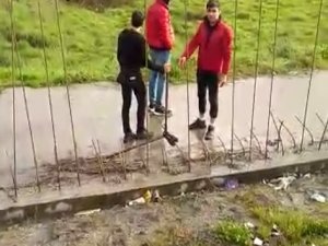 Belediyenin İnşaat Alanındaki Demirlerini Çalarken Suçüstü Yakalandılar