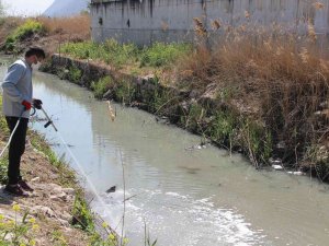 Dsö Yeni Pandemi İçin Uyardı, Vatandaşlara Da Görev Düşüyor