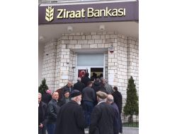 Fındık Üreticisine Müthiş Destek