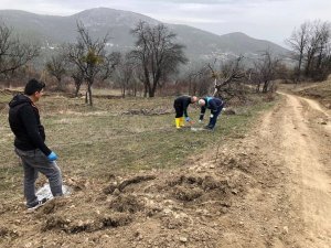 Emet’te “Küreci” Cinsi Elma Üretimi Artacak