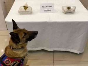 Sivas’ta 2 Kilo Toz Esrar Ele Geçirildi