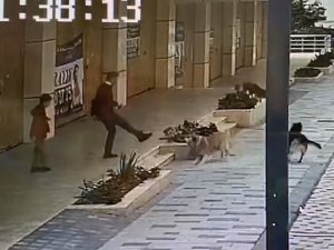 Avcılar’da Köpek Saldırısını Yaşayan Çocuk Dehşet Anlarını Anlattı