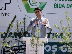 Büyükşehir Belediyesi 5 Bin Yağlık Zeytin Ve Badem Fidanı Dağıttı