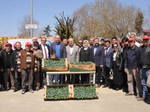 Yalova’nın Atıl Arazileri Projelerle Tarıma Kazandırılıyor