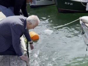 Ağa Takılan Caretta Carettayı Belediye Başkanı Kurtardı