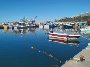 Kozlu Su Ürünleri Kooperatifi Başkanı Kayhan: “Mayın Yüzünden Geceleri Avlanmayı Kendi Aramızda Yasakladık”