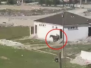 Ata Cinsel Tacizde Bulunduğu İddia Edilen Şahıs Kameraya Yansıdı