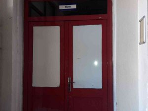 Kestiği Ağacın Altında Hayatını Kaybetti