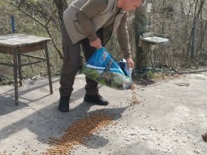 Yığılca’da Hayvanlar İçin Doğaya Mama Bırakıldı