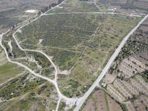 Buharkent Aydın’ın Jeotermal Sera Üssü Olacak