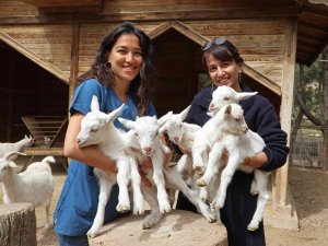 Antalya Hayvanat Bahçesi’nde Kanguru Ve Lemur Yavru Doğumları Başladı