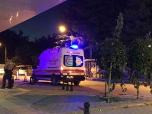 Otomobilin Çarptığı At Telef Oldu, Üzerindeki Binici Yaralandı
