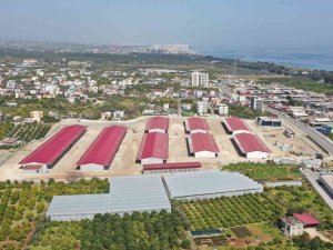 Erdemli Hal Tesisinin Yüzde 75’i Tamamlandı