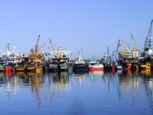 Giresun Sahillerinde Balık Sezonu Bitti