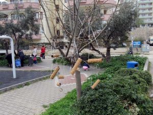 Hem Tünek, Hem De Yem Deposu