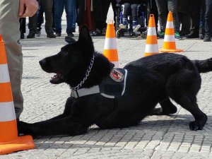 Samsun’da 10 Nisan Polis Bayramı Kutlamaları