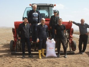 Yozgat’ta 7 Çeşit Nohut Toprakla Buluştu