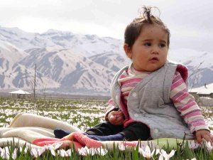 Yüksekova Ovası’nda Kardelen Cümbüşü