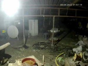 Tilkinin Tavuğa Saldırdığı Anlar Kamerada