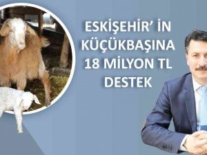 Küçükbaş Hayvancılığa 18 Milyon Lira Destek