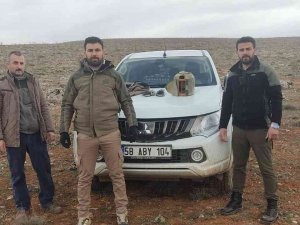 Kekliklerin Neslini Tehlikeye Sokan Yasa Dışı Ava 25 Bin Lira Ceza