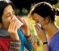 Gripken araba kullanmayın