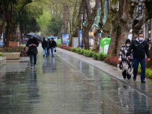 Kocaeli Yağmurla Güne Uyandı