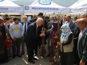 Başkan Gürün, Fethiye’deki Kırsal Kalkınma Projelerini İnceledi