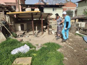 Metruk Binada Pitbull Besleyen Kişiye 14 Bin 982 Tl İdari Para Cezası