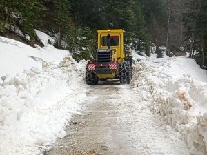 Abant-samandere Yolu Trafiğe Açıldı