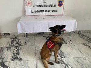 Uyuşturucu İle Yakalanan 2 Kişi Tutuklandı