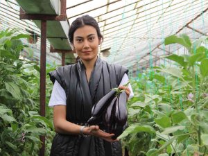 Tüketiciye Ucuz Sebze Müjdesi