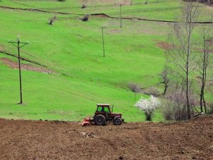 Ordu’da Atıl Araziler Üretime Kazandırılıyor