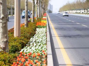 Diyarbakır 3 Milyon 300 Bin Çiçekle Rengarenk