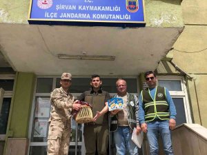 Siirt’te Kaçak Avcılık Yapan Şahsa Tutanak Tutuldu