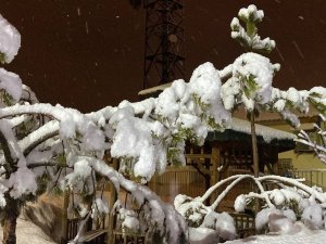 Karlıova Beyaza Büründü, Kar Kalınlığı 5 Santimetreyi Geçti
