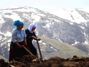 Şartlar Çok Zor Olsa Da Onlar Çalışmadan Duramıyor