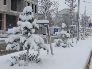 ‘Yazın Yağan Kar Başıma’ Türküsü Gerçek Oldu